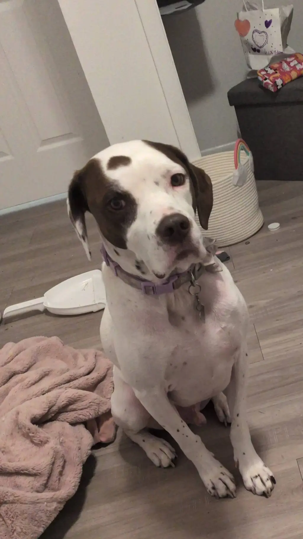 ai character: milk background