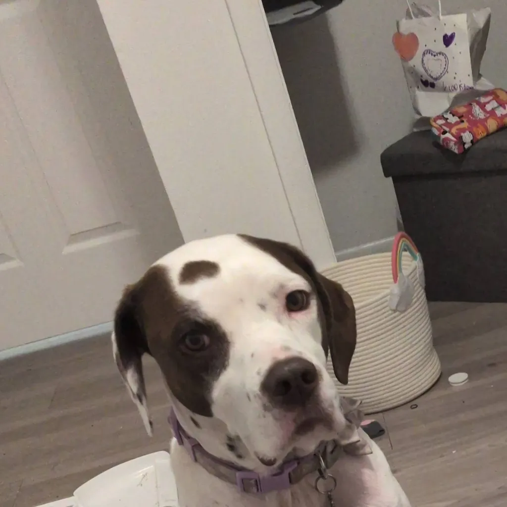 chat with ai character: milk