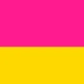 chat with ai character: pansexual
