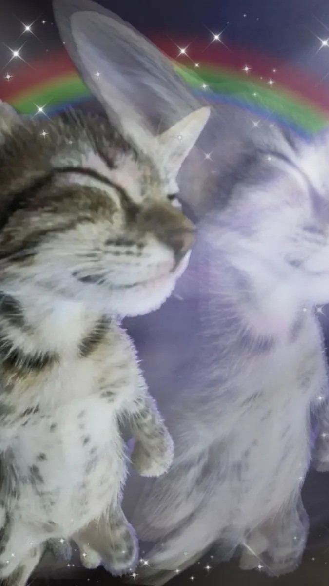 ai character: Mha singing! background