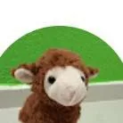 chat with ai character: tedi 