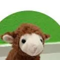 chat with ai character: el niño peluche 