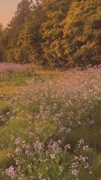 ai character: nexus x solar  background