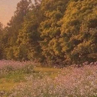 chat with ai character: nexus x solar 