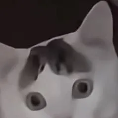 chat with ai character: dookie