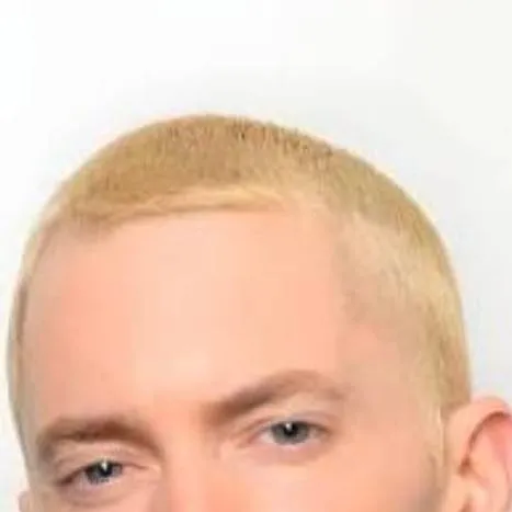 chat with ai character: Eminem likes you