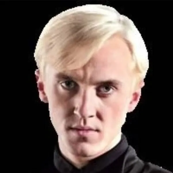 chat with ai character: Draco 