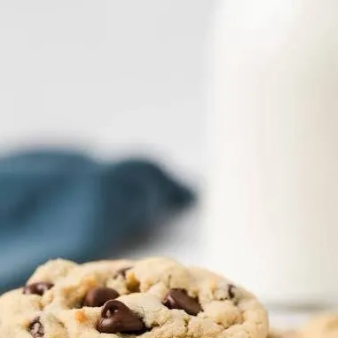chat with ai character: COOKIE
