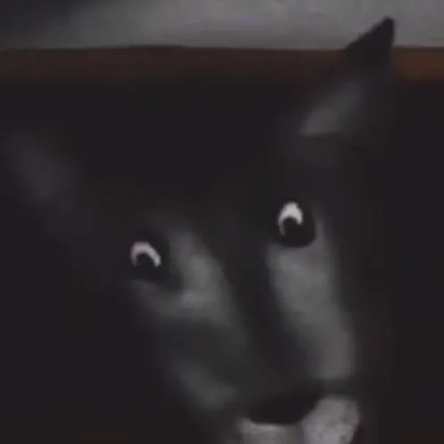 chat with ai character: The big bad Wolf