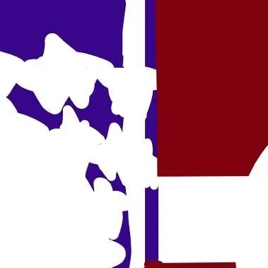 chat with ai character: American ball