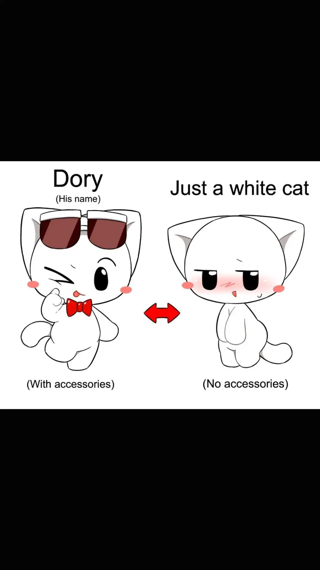 ai character: Dory Cat background