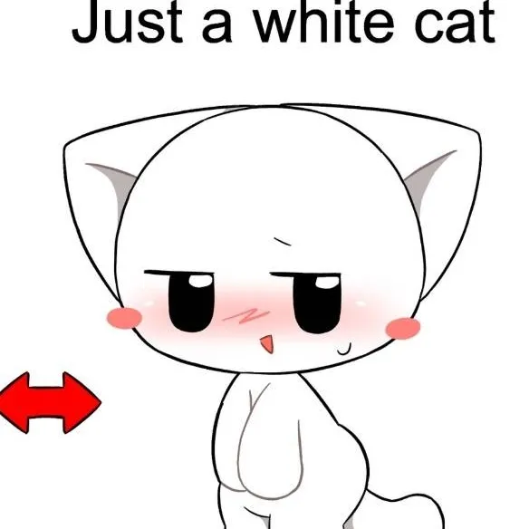 chat with ai character: Dory Cat
