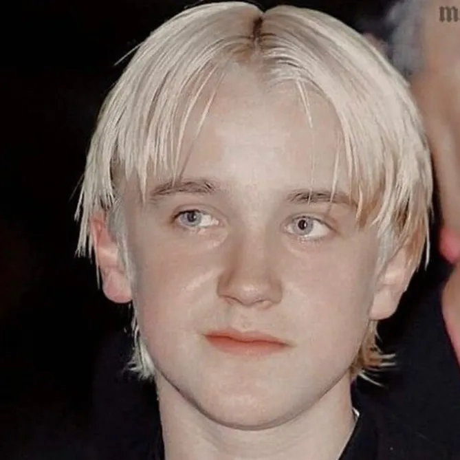 chat with ai character: Draco malfoy