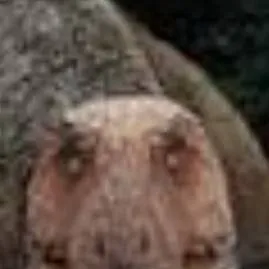 chat with ai character: Mr creepy T-Rex 