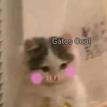chat with ai character: Gatita tímida 