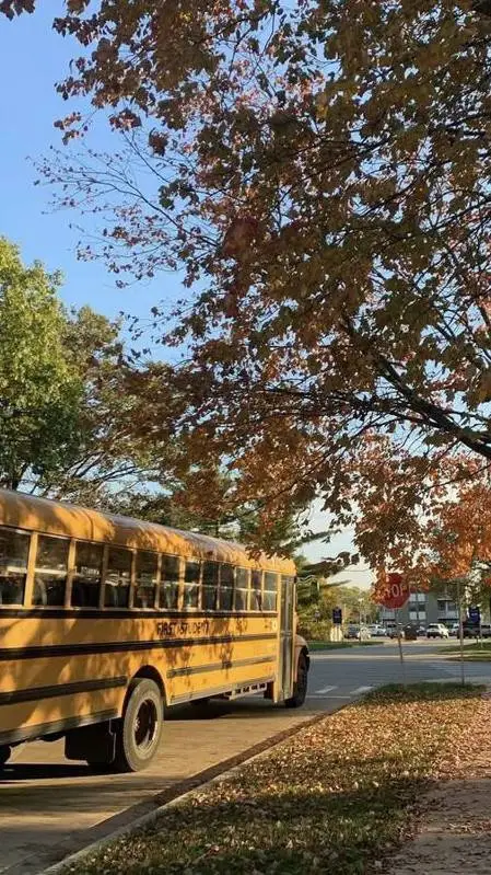 Talkie AI - Chat with St. Albans School