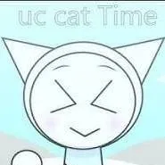 chat with ai character: UC cat