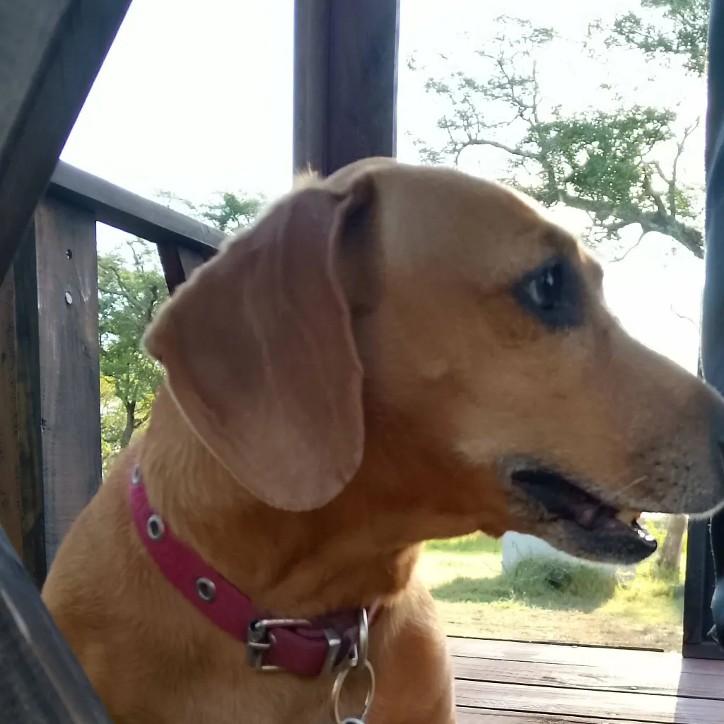 chat with ai character: Agata