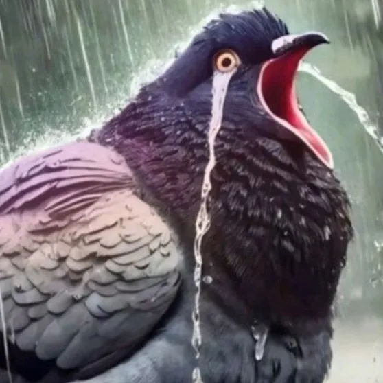 chat with ai character: constipated bird￼