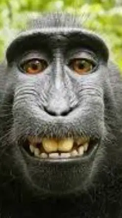 ai character: Annoying monkey  background