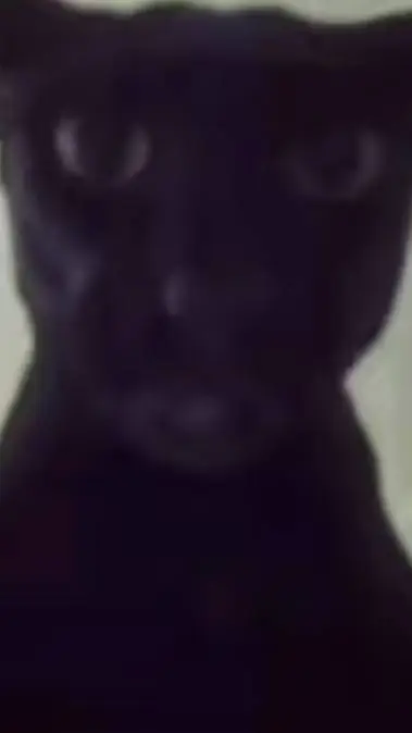 ai character: evil larry background