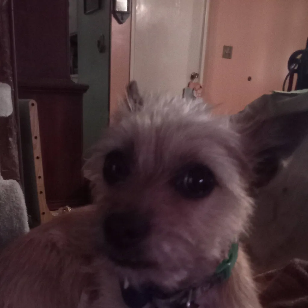 chat with ai character: GardenV roadtrip