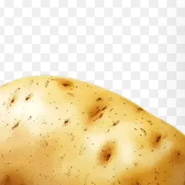 chat with ai character: Potato👍
