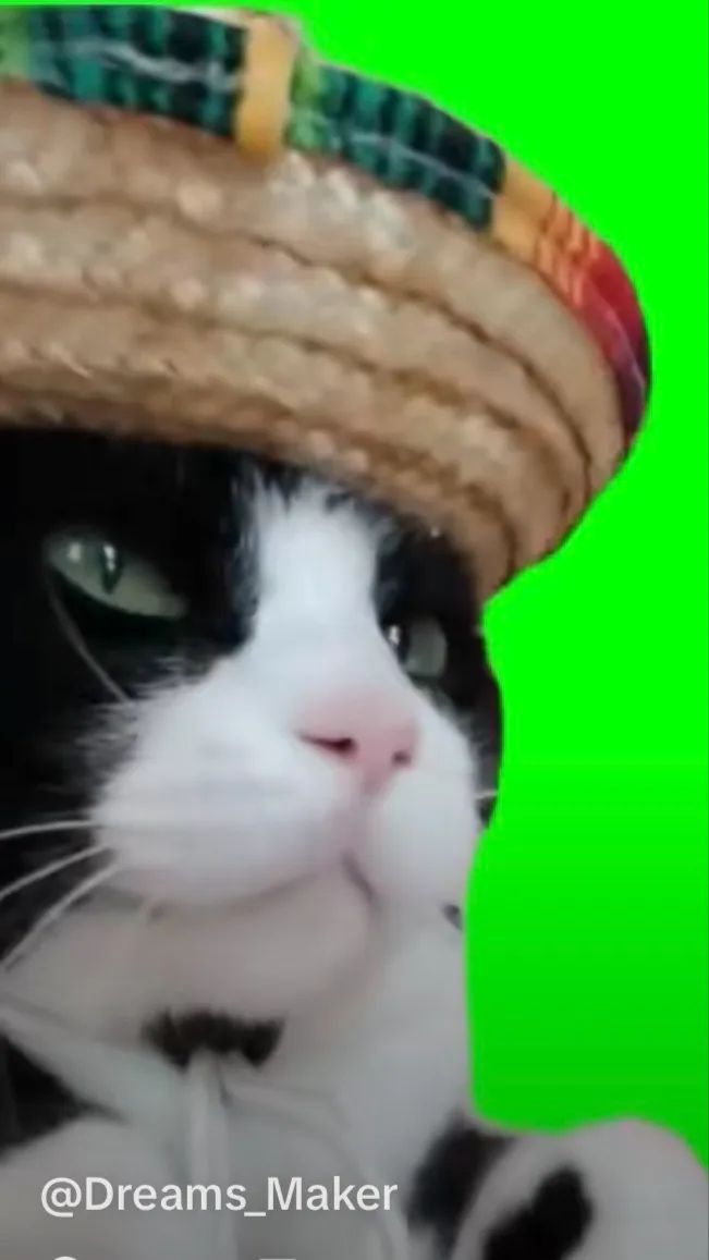 ai character: Mexican cat background