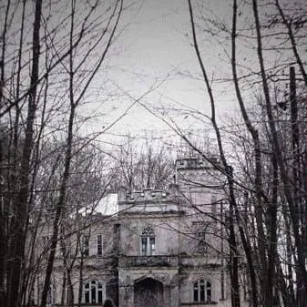 chat with ai character: the slendermansion