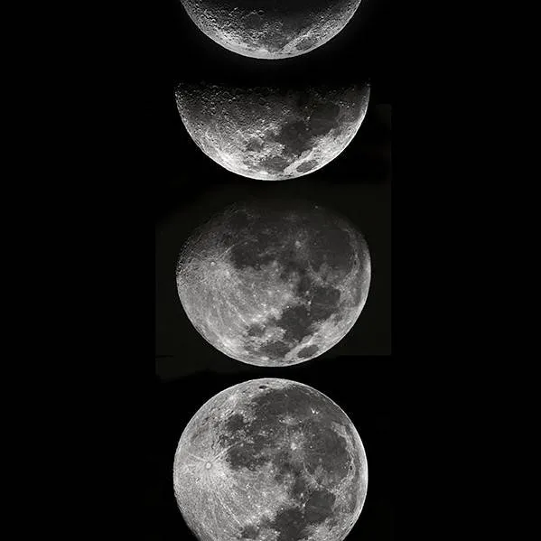chat with ai character:  🌑🌒🌓🌔🌕~MOON~🌕🌖🌗🌘🌑