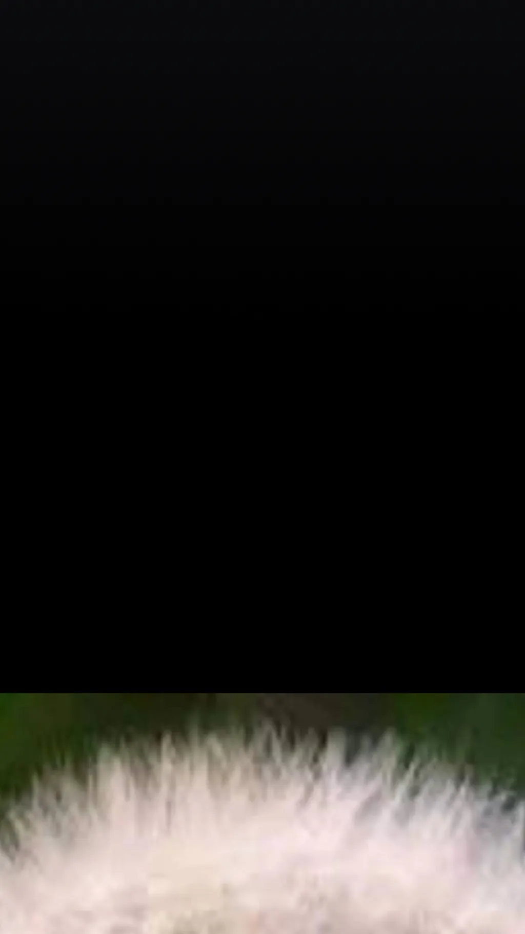 ai character: Bakugo background