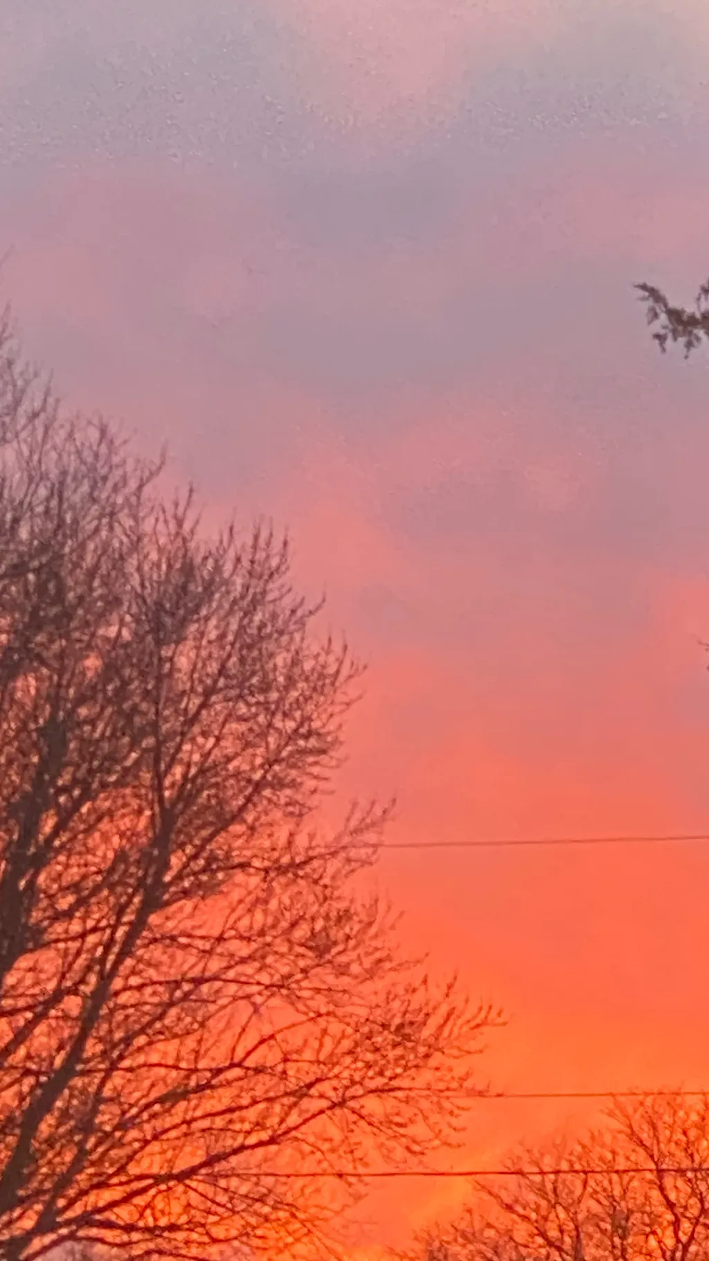 ai character: Singer Bakugo background