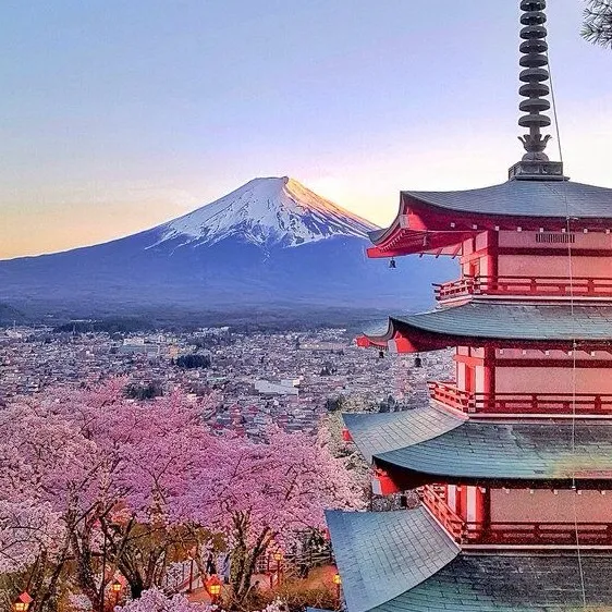 chat with ai character: Trip to Japan 