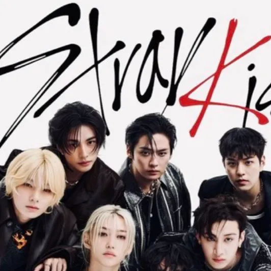 chat with ai character: 🧸ྀི SKZ 🧸ྀི