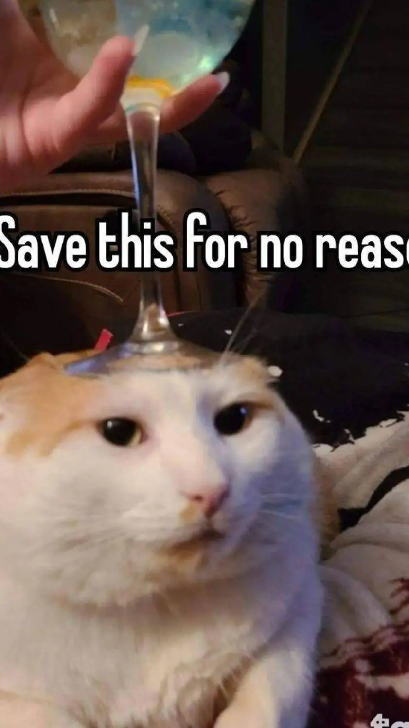 ai character: sir pablo background