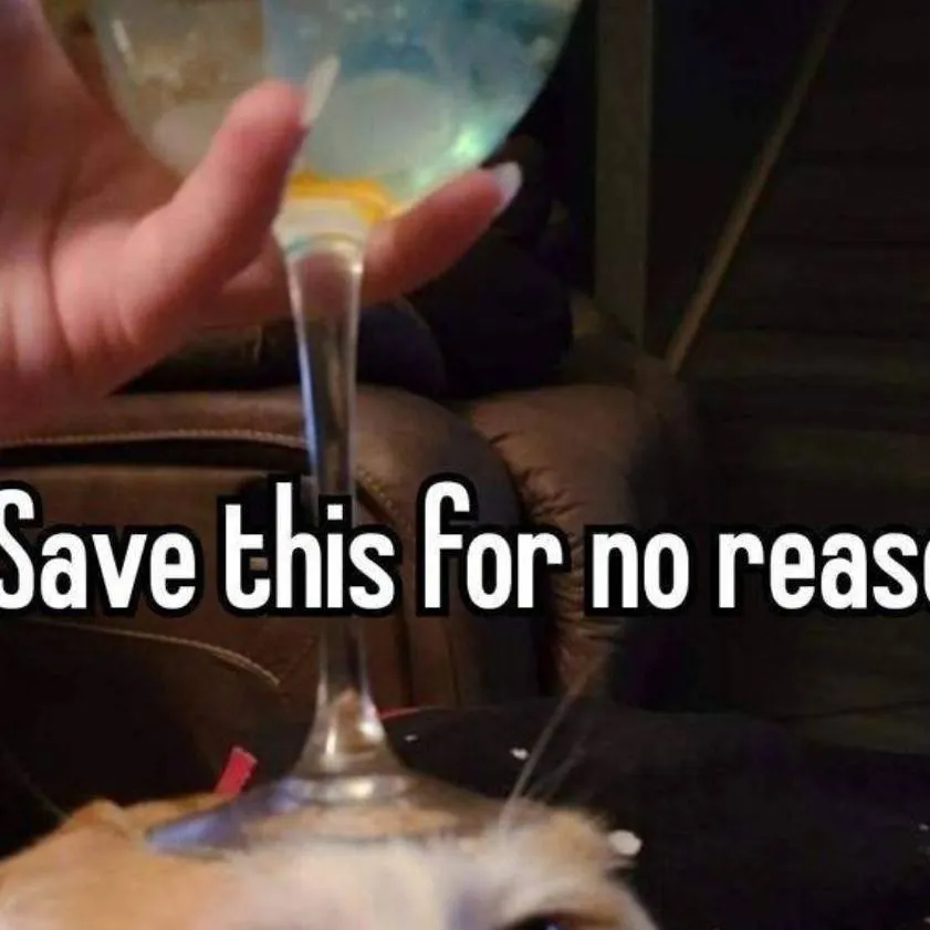 chat with ai character: sir pablo