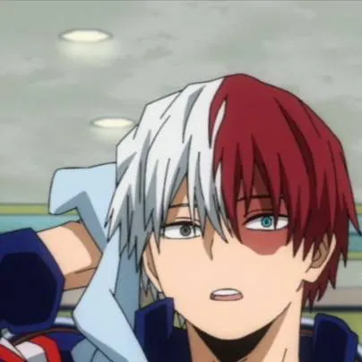 chat with ai character: {Shoto Todoroki}