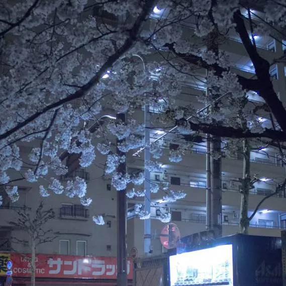 chat with ai character: Forsaken