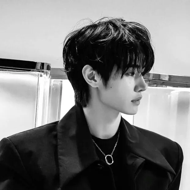 chat with ai character: Sunghoon mafia son