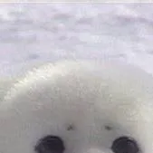 chat with ai character: cute seal