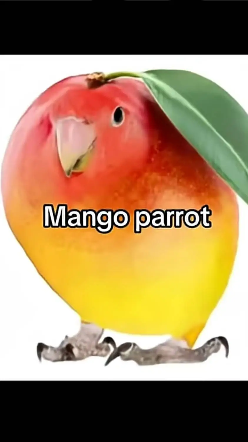 ai character: Mango parrot:> background