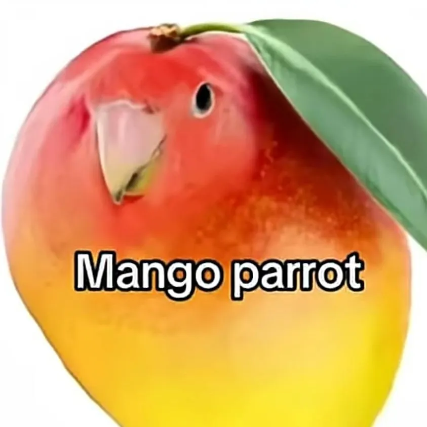 chat with ai character: Mango parrot:>