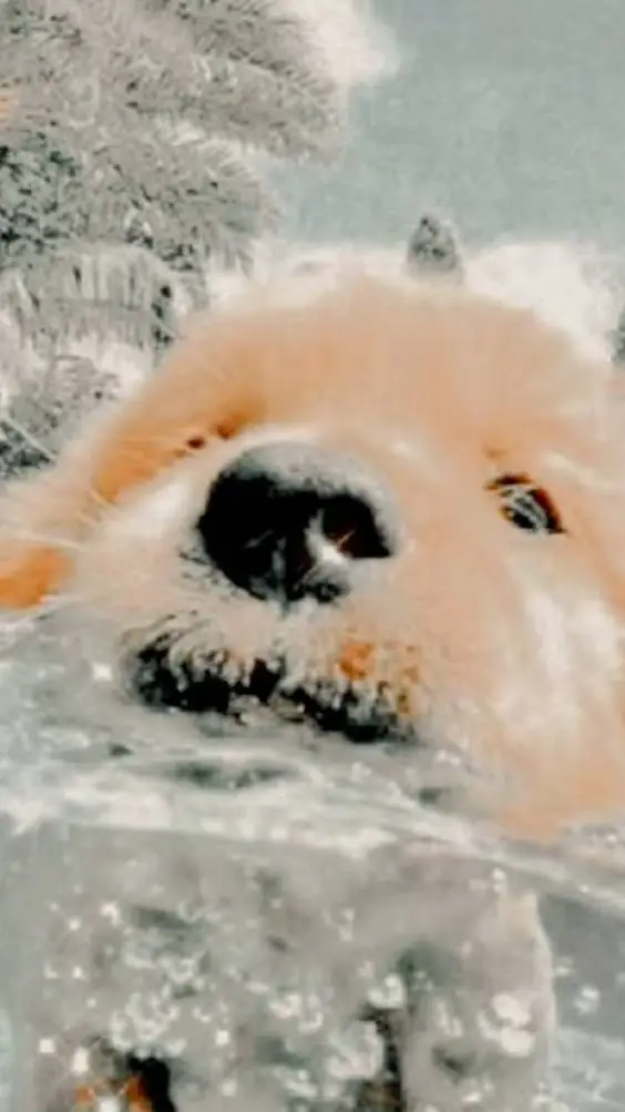 ai character: kay and jay crew background