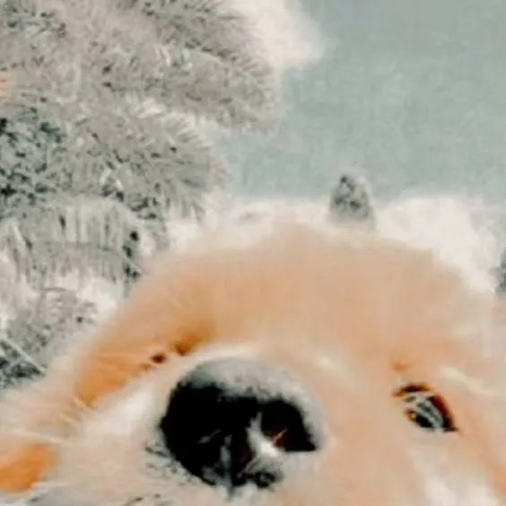 chat with ai character: kay and jay crew