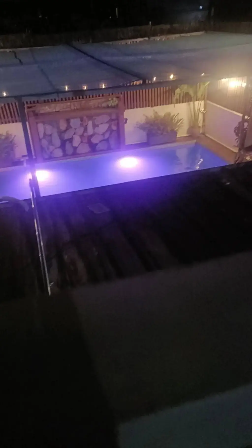 Talkie AI - Chat with swimming pool