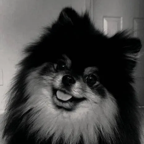 chat with ai character: yeontan 