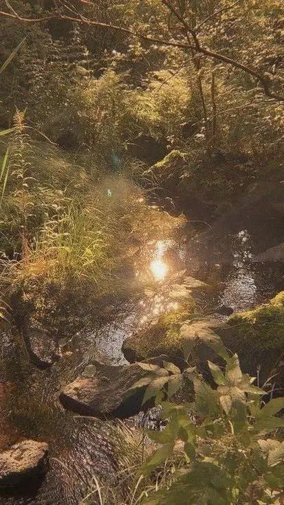 Talkie AI - Chat with PJO