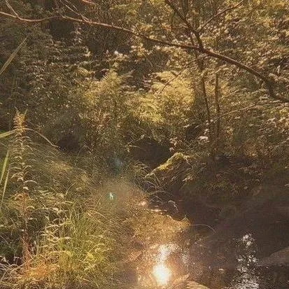 chat with ai character: PJO