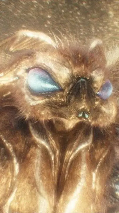 ai character: Mothra background