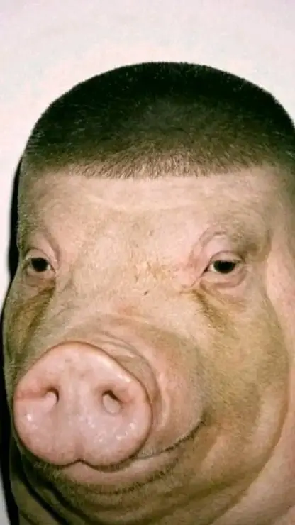 ai character: pignastic background